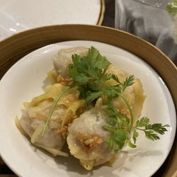 Siam Central - Dumplings were good