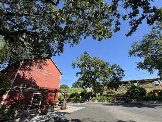 Martinelli Vineyards & Winery by null