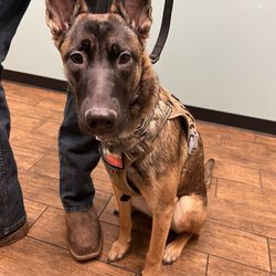 Hayden Road Animal Hospital