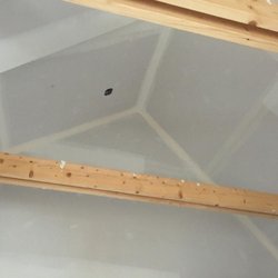 Double D s drywall and painting - Photo