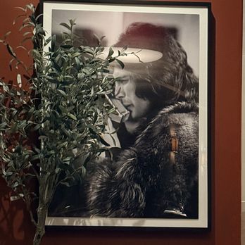 Stark's Steak & Seafood - Freddie Mercury photo. - Steakhouses Near Me - Santa Rosa, California Stark's Steak & Seafood - Freddie Mercury photo. - Steakhouses Near Me - Santa Rosa, California