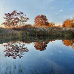 Creative Eye Workshops - My latest photo from a Chicagoland nature preserve.