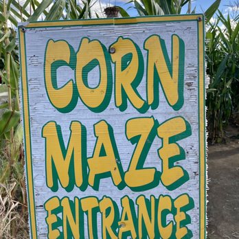 Four Town Farm - Corn maze - Fruits & Veggies Near Me - Seekonk, Massachusetts Four Town Farm - Corn maze - Fruits & Veggies Near Me - Seekonk, Massachusetts