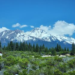 Mt. Shasta Vista Point - Mt Shasta view from I5
