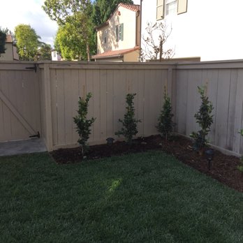 Sea Breeze Landscaping Construction - A large tree use to be in this corner. - Landscaping Near Me - Orange, California Sea Breeze Landscaping Construction - A large tree use to be in this corner. - Landscaping Near Me - Orange, California