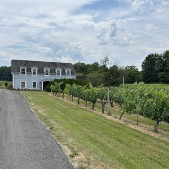 Gray Ghost Vineyards - The wine building and part of the vines - Wineries Near Me - Amissville, Virginia