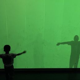 Shadow room