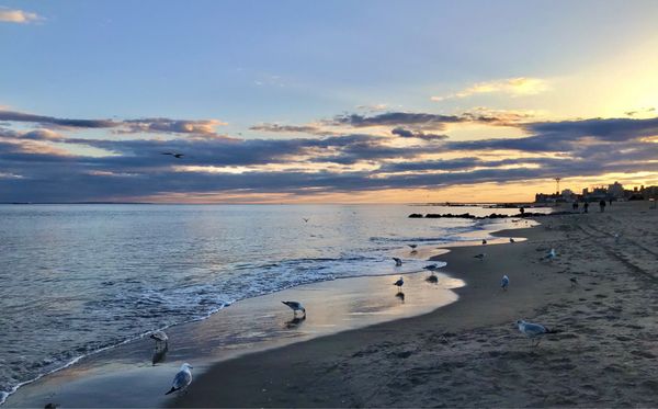 Brighton Beach by null