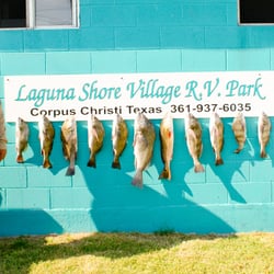 Laguna Madre RV Park - Catching Plenty in June