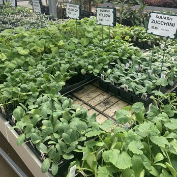 Vaiuso Farms - Nurseries & Gardening Near Me - Branford, Connecticut Vaiuso Farms - Nurseries & Gardening Near Me - Branford, Connecticut