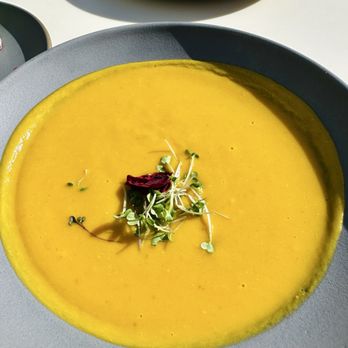 Cafe 5 - Butternut squash soup - Cafes Near Me - San Francisco, California