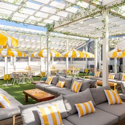 Paradise Park | Pizza & Patio by null