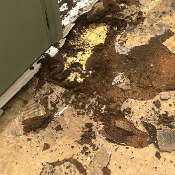 Louks Flooring Solutions - Water damage found under old floor - Flooring Near Me Louks Flooring Solutions - Water damage found under old floor - Flooring Near Me