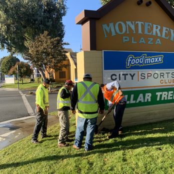 Millennial Landscape - Commercial maintenance and repair - Landscaping Near Me Millennial Landscape - Commercial maintenance and repair - Landscaping Near Me