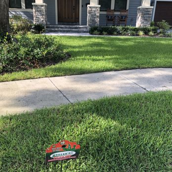 Morgan's Horticultural Services - Pest Control Near Me - Tampa, Florida Morgan's Horticultural Services - Pest Control Near Me - Tampa, Florida