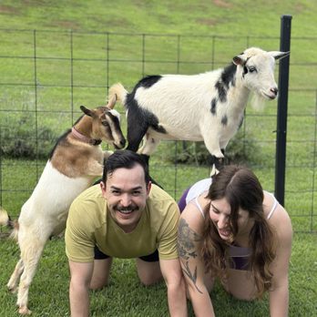 808 Goat Yoga - Yoga Near Me - Kilauea, Hawaii