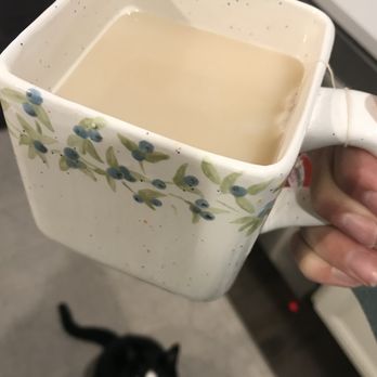 Arts & Glass - my cat wants one too! - Paint & Sip Near Me - Clifton Park, New York