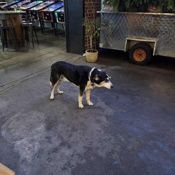 Wico Street Beer - Brew pup - Brewpubs Near Me - Baltimore, Maryland Wico Street Beer - Brew pup - Brewpubs Near Me - Baltimore, Maryland