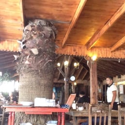 Inside Inside