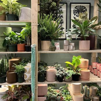 PlantHouse - Nurseries & Gardening Near Me - Alexandria, Virginia
