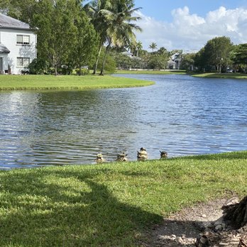 10X Weston - lake - Apartments Near Me - Weston, Florida