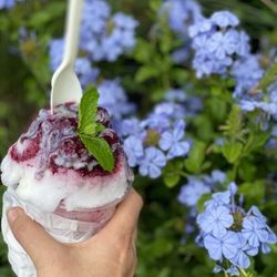 Mahalo - Flowers can't outshine this treat!