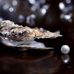 Pearl's Deep Dive