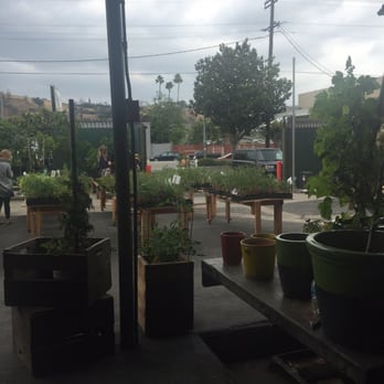 Fig Earth Supply - Easy parking and good selection of raised planters. - Nurseries & Gardening Near Me - Los Angeles, California