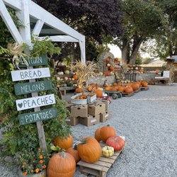 Wissel Farms