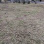 Photo of Gibson Clean Cut Lawn Care