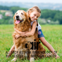 Photo of Allergy Asthma Immunology Of Rochester, PC