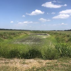 Balm Boyette Scrub Preserve