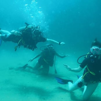Aquatica - Diving at Crashboat - Scuba Diving Near Me - Aguadilla, Puerto Rico Aquatica - Diving at Crashboat - Scuba Diving Near Me - Aguadilla, Puerto Rico