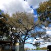 Orlando Lakefront Tiny House gift card