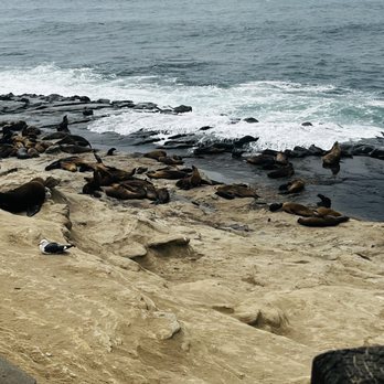 La Jolla Cove - Parks Near Me - La Jolla, California La Jolla Cove - Parks Near Me - La Jolla, California