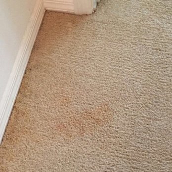 Stanley Steemer - They didn't clean the corner of the carpet!!! This place is a a waste of money!! - Carpet Cleaning Near Me - Port St. Lucie, Florida