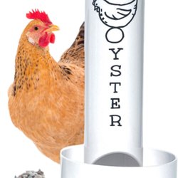 Revolutionary Chicken - Revolutionary Chicken Oyster Shell Feeder