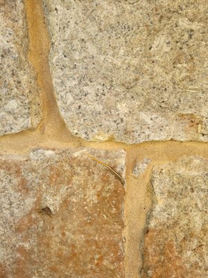 The Habitat Penang Hill by null