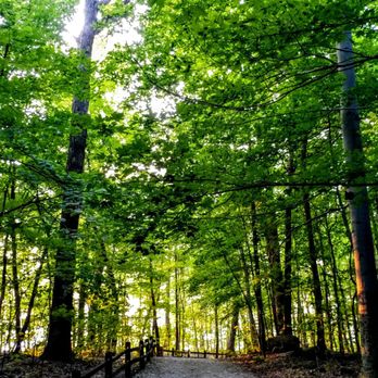 Chapin Forest Reservation - Hiking Near Me - Kirtland, Ohio Chapin Forest Reservation - Hiking Near Me - Kirtland, Ohio