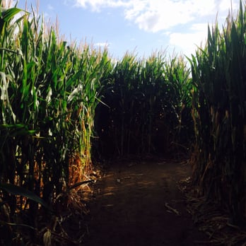 Perry's Pumpkin Farm - Pumpkin Patches Near Me - Sacramento, California Perry's Pumpkin Farm - Pumpkin Patches Near Me - Sacramento, California