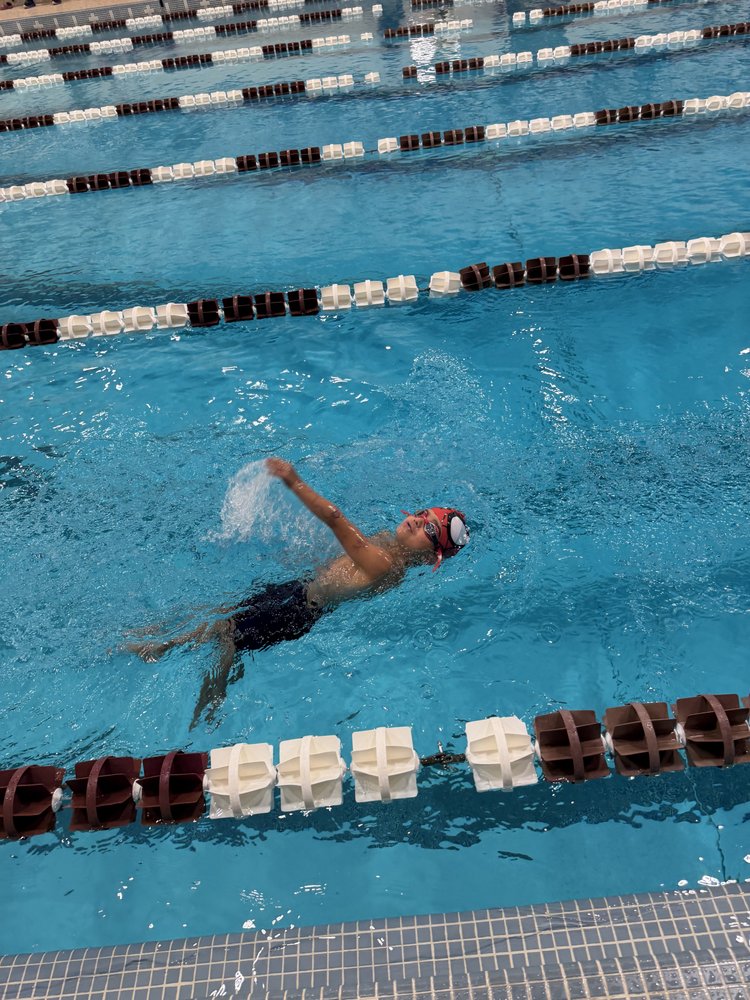 Swim Stars Academy Logo
