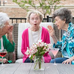 HarborChase of Plano - These 3 ladies are so much fun! The best of the best live here