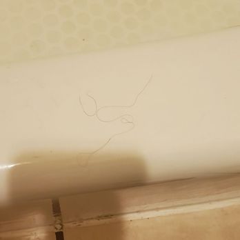 Relax Inn - There were hairs on the sheets in the tub pea every where around the toilet. Words cannot describe how bad it was. - Hotels Near Me - Lewisburg, West Virginia