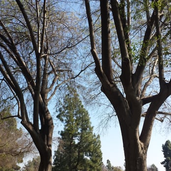 Heartwell Park - Parks Near Me - Long Beach, California