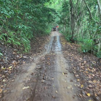 Kipu Ranch Adventures - Tours Near Me - Lihue, Hawaii Kipu Ranch Adventures - Tours Near Me - Lihue, Hawaii