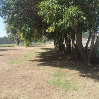 Glenbrook Dog Park - Backside of longggg park - Dog Parks Near Me - Sacramento, California