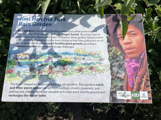 Jimi Hendrix Park by null