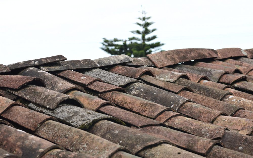 Slide of On Deck Roofing