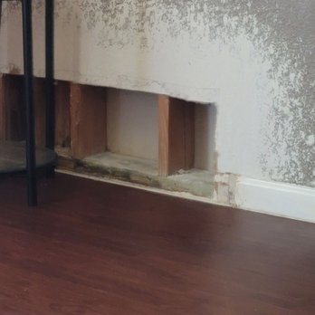 Bexley At Tech Ridge Apartments - This since February, and our garage, breezeway, and home stink like SKUNK! - Apartments Near Me - Austin, Texas Bexley At Tech Ridge Apartments - This since February, and our garage, breezeway, and home stink like SKUNK! - Apartments Near Me - Austin, Texas
