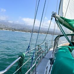 Sunset Kidd Sailing Cruises and Whale Watching